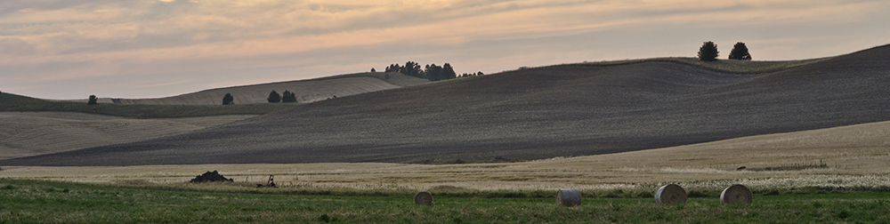 category 4 banner